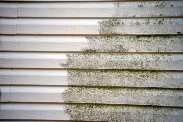 Best Siding Replacement  in Hillsborough, NC